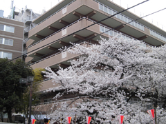 青葉台さくら苑
